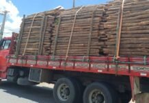 Operação da PRF resulta na apreensão de carga irregular em Floresta, PE