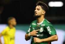 Palmeiras e Botafogo se Enfrentam: Detalhes da Partida e Transmissão