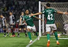 Palmeiras e Mirassol se Enfrentam: Detalhes da Partida e Onde Assistir