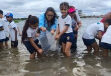 Agrovale Realiza Soltura de 50 Mil Alevinos no Rio São Francisco em Comemoração ao Dia Mundial da Água