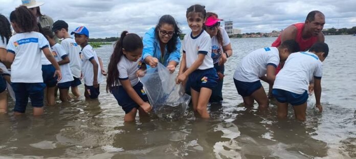 soltura-alevinos-Rio-Sao-Francisco