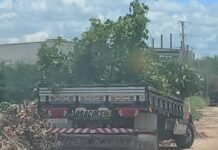 Multa e Apreensão de Veículo por Descarte Irregular de Resíduos em Petrolina