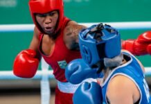 Boxe Brasileiro Brilha na Bulgária e se Prepara para Circuito Mundial