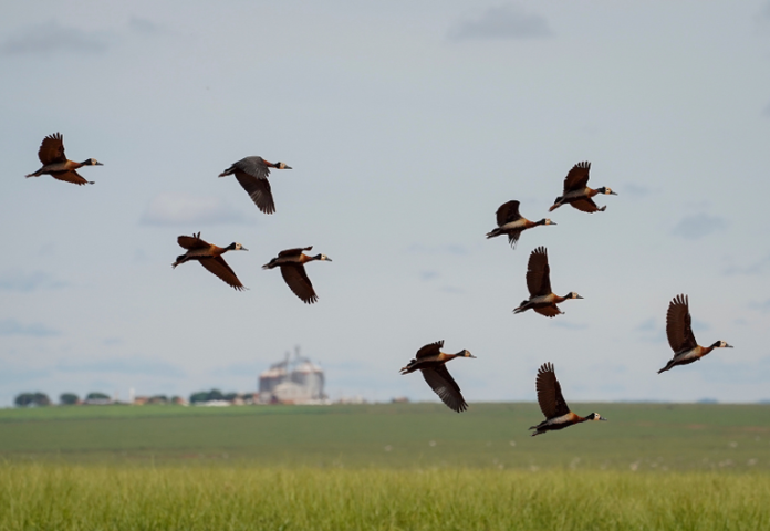 A importância da verdade na era das fake news tanto, a defesa da verdade o compromisso moral de fazer corresponder o que se pe