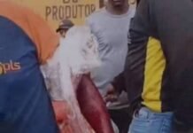 Carrinheiro é esfaqueado no Mercado do Produtor em Juazeiro WhatsApp/divulgação Palco de frequentes ocorrências policiais, o Mercado do Produtor de Juazeiro (BA) registrou mais uma