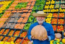 Redução da dívida e investimentos sustentáveis impulsionam Bahia sucessivas gestões estaduais, ao longo de décadas, cujos prazos de pagamento ain