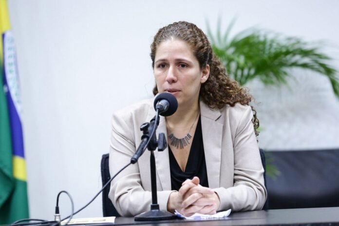 Reestruturação de carreiras no Executivo visa fortalecer serviço público