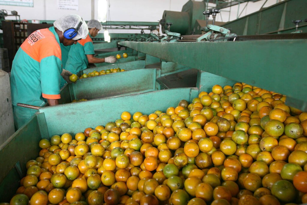 Lula reafirma candidatura à presidência em meio a especulações