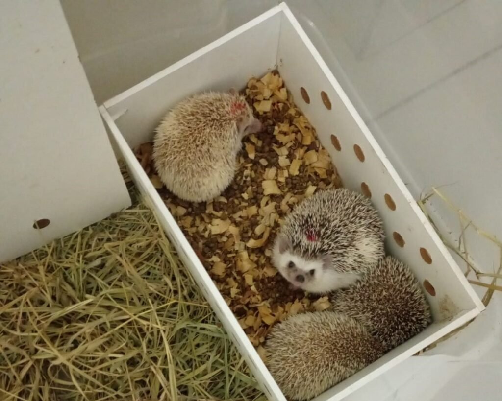 Desaparecimento de padre em Salvador mobiliza investigações policiais