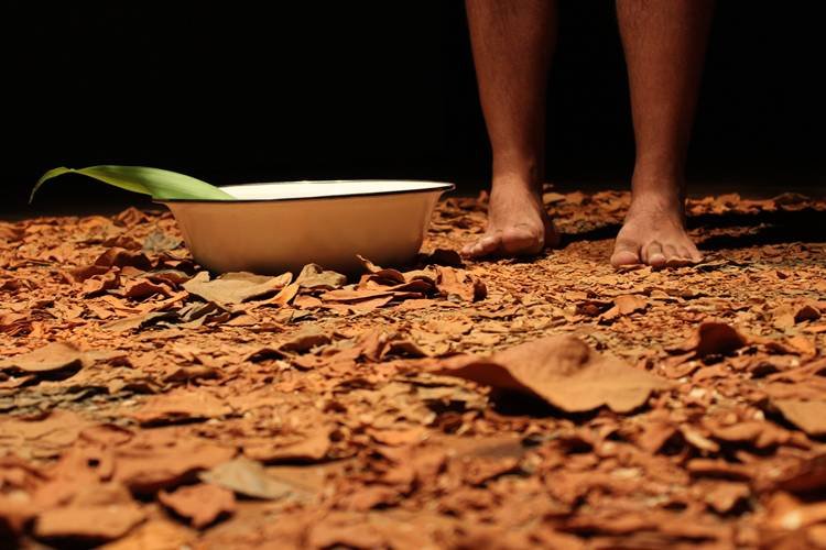 Exposição explora impacto das águas em territórios e culturas