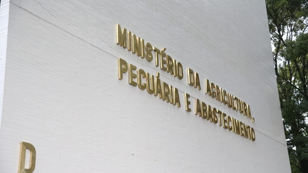 Brasil e União Europeia debatem restrições à exportação de carnes