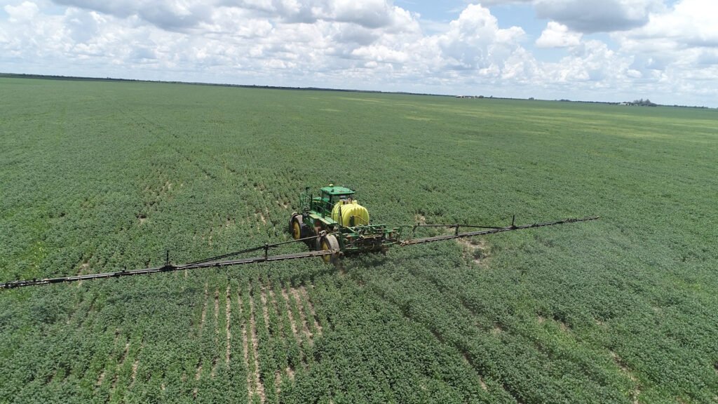 Expansão do sorgo na Bahia impulsiona agronegócio e exportações