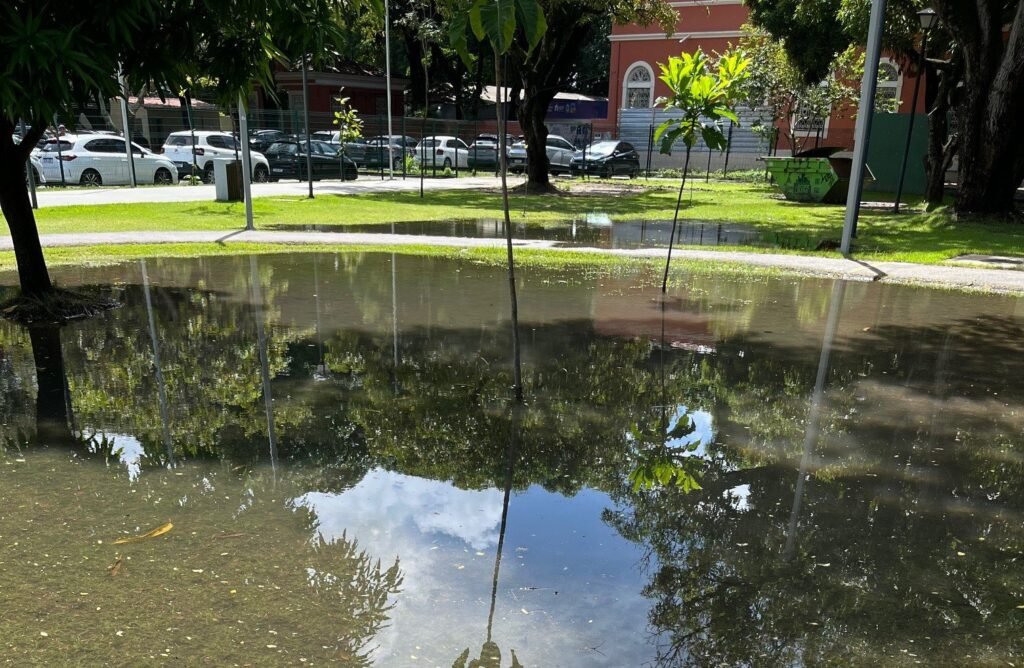 Inundações no Parque da Tamarineira preocupam moradores