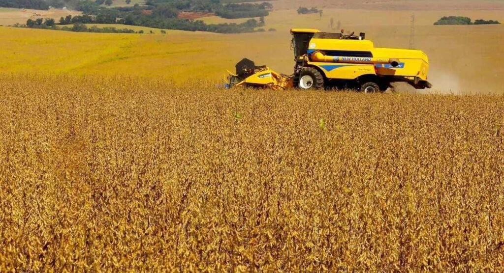 Crise de endividamento no agro brasileiro desafia setor