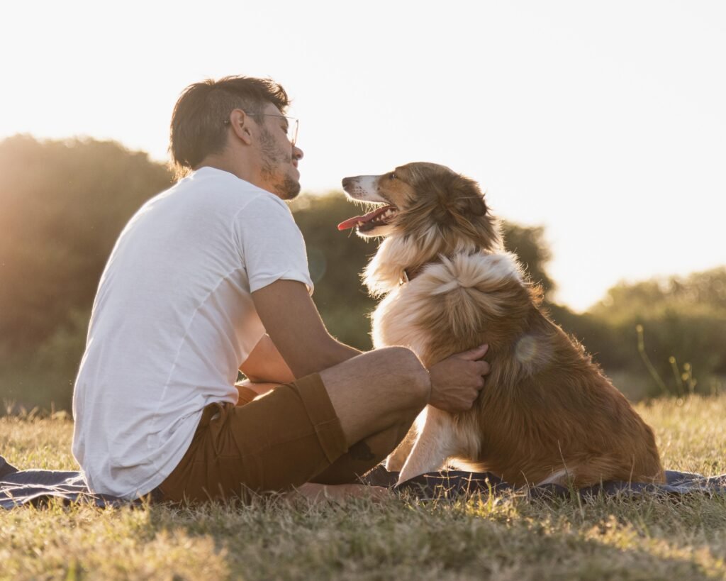 Como o cérebro humano e canino se conectam: a ciência por trás do vínculo