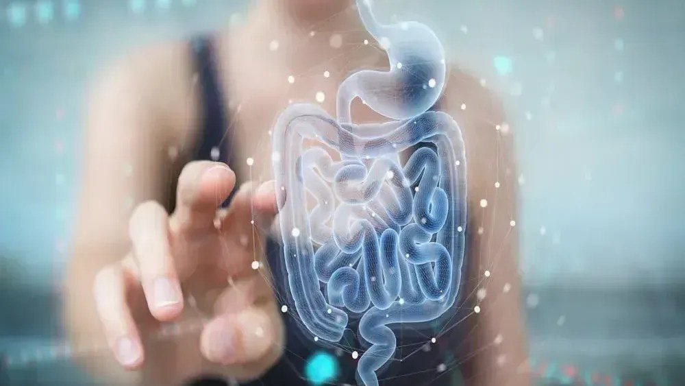 Teste imunoquímico fecal revoluciona diagnóstico de câncer colorretal