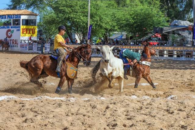 Vaquejada de Petrolina celebra cultura nordestina com prêmios milionários
