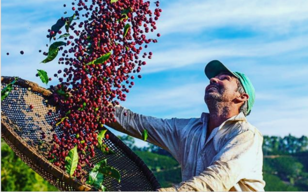 Cafeicultura no Brasil: Sustentabilidade e Educação Transformam o Setor
