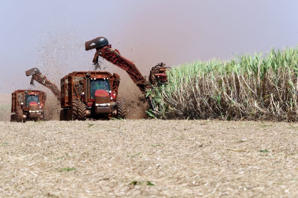 Produção de cana no Norte e Nordeste cai 2% na safra 2025/26