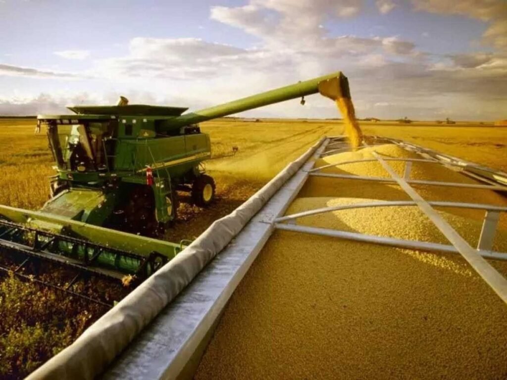 Agropecuária impulsiona crescimento do PIB em meio a endividamento familiar