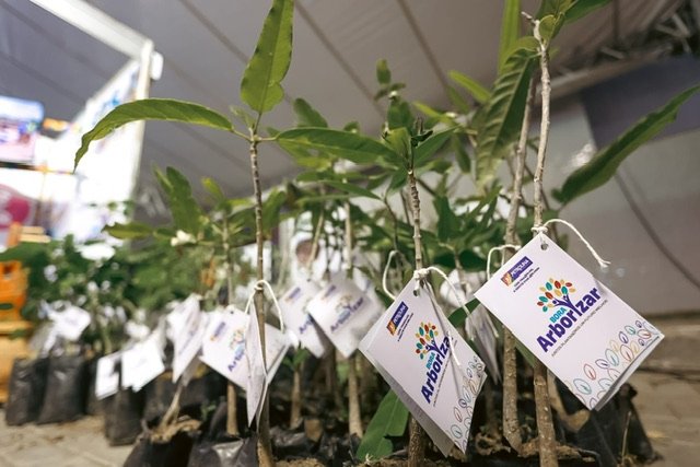 Petrolina celebra Dia do Meio Ambiente com ações de sustentabilidade