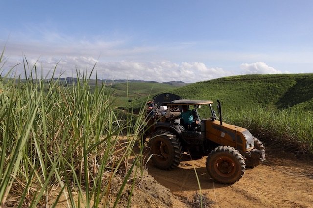 Pernambuco investe em fertilizantes para impulsionar agricultura familiar