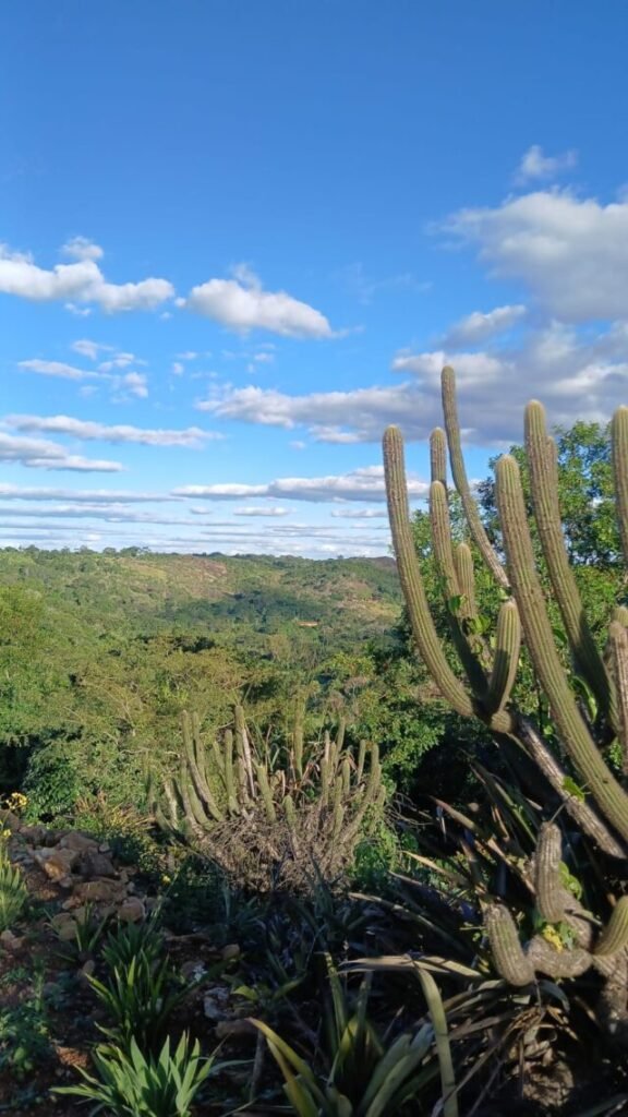 Pernambuco avança na criação de novas áreas de conservação na Caatinga