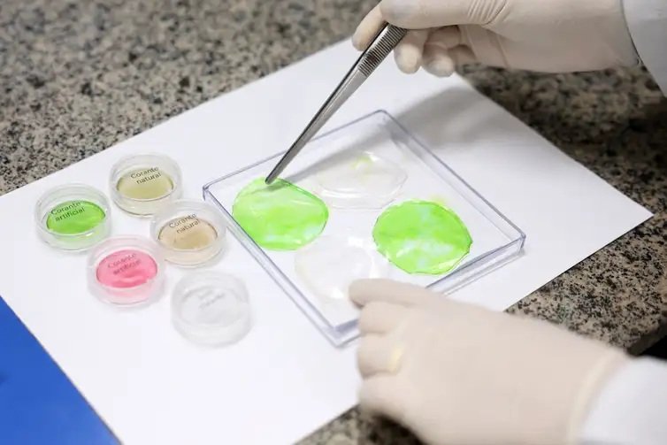 Embrapa avança na produção de carne cultivada em laboratório