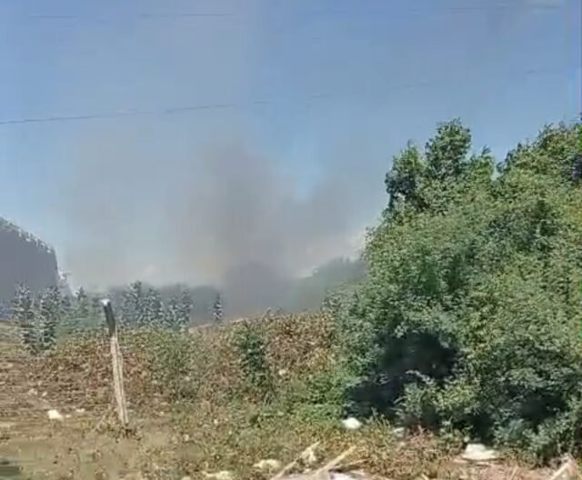 Incêndio em Cabrobó gera preocupação entre moradores