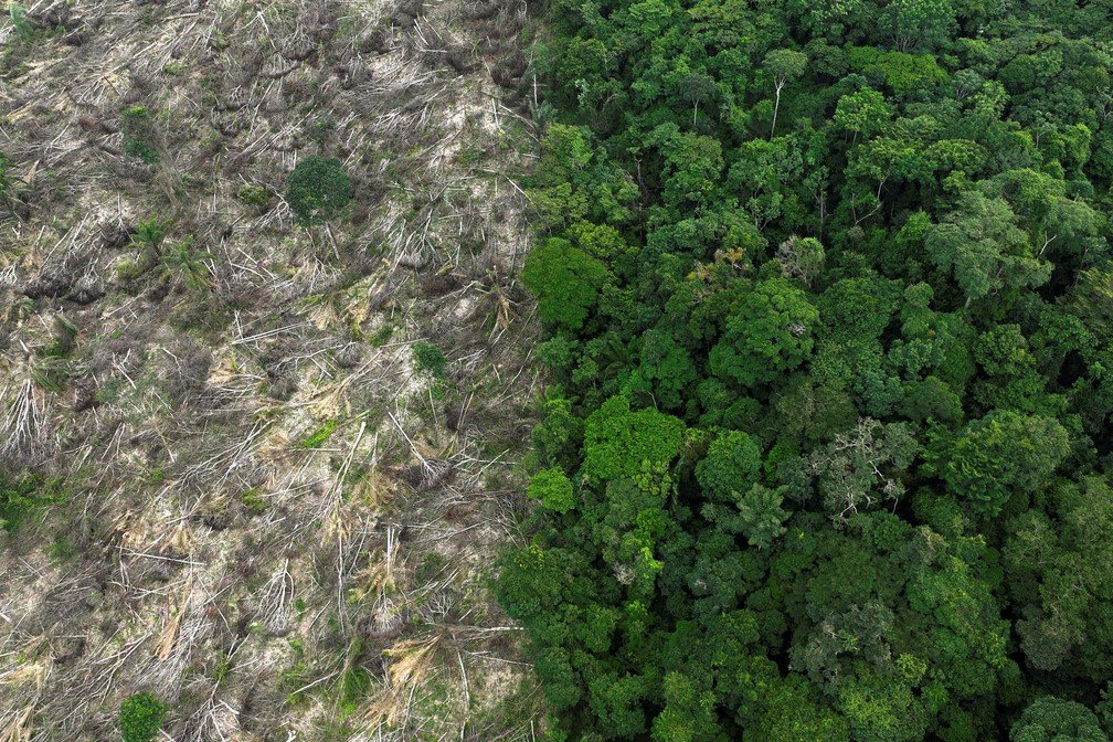 Desmatamento na Amazônia atinge menor nível desde 2016