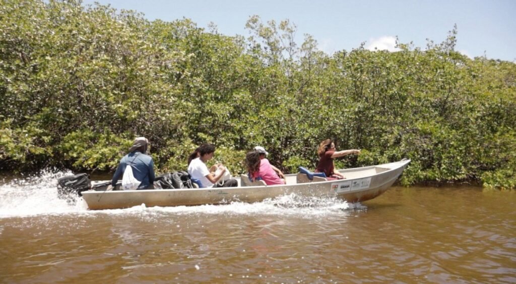 Estudo revela impactos do derramamento de petróleo de 2019 na pesca artesanal