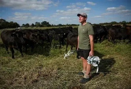 Transformação agrícola no Reino Unido: Resiliência em meio ao clima extremo