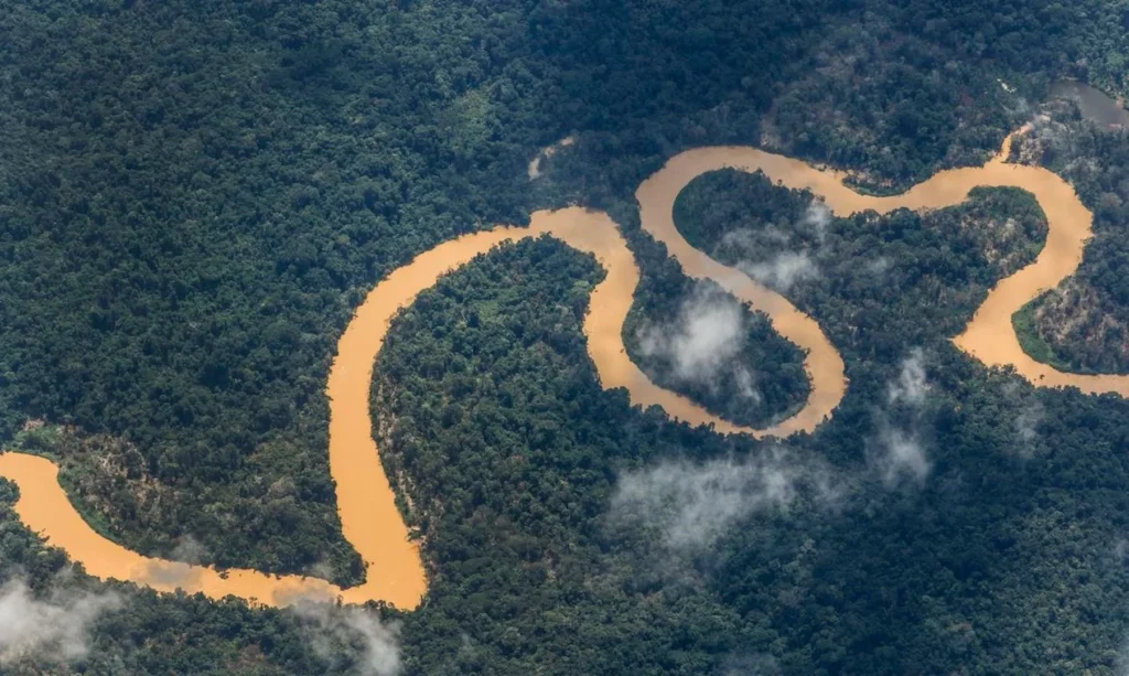 Aquecimento na Amazônia: temperaturas extremas aumentam 3°C na estação seca