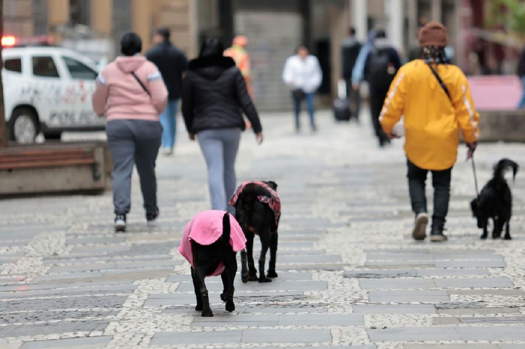 São Paulo registra dia mais frio do ano com temperatura máxima à meia-noite