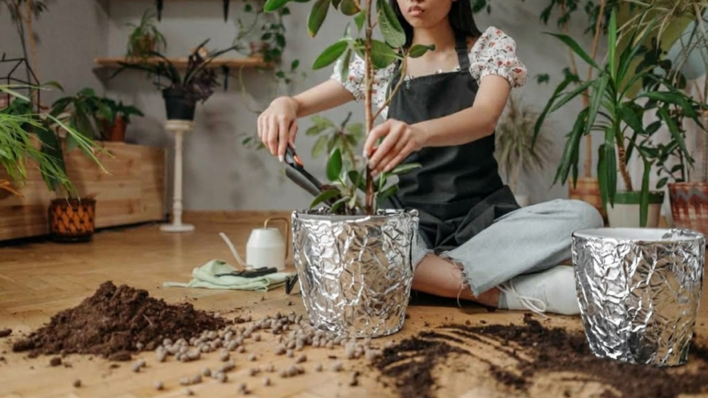 Papel-alumínio pode ajudar a manter suas plantas saudáveis em casa