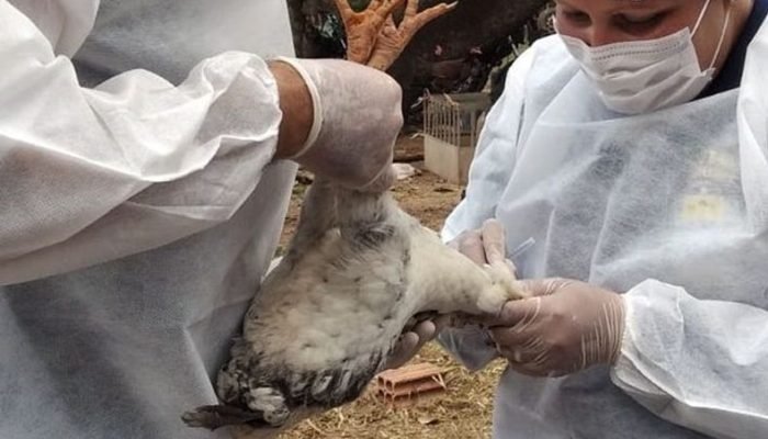 0227f7b6bb6c1e544a5cab0a6a028333