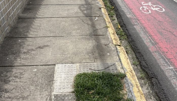 Árvores derrubadas e sem replantio - FREDERICO CARVALHO / VOZ DO LEITOR