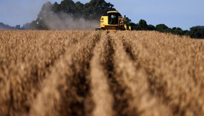 Colheita no Rio Grande do Sul (Foto: REUTERS)
