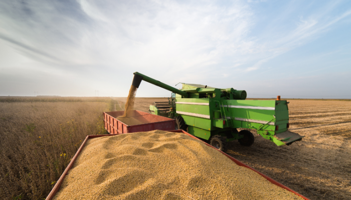 Roberto GonÃ§alves