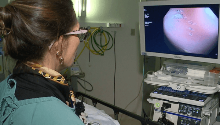 MOLDE_NEWS_24_7ffc43f1a2