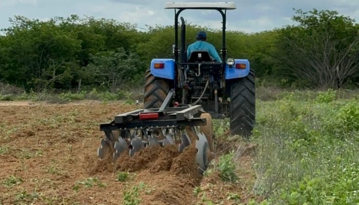 Roberto GonÃ§alves