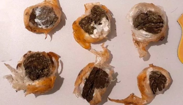 1 de 1 Imagem colorida, Três mulheres são flagradas após tentar entrar em presídio com drogas...