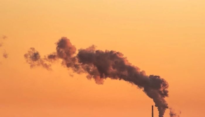 Untitled-design-15-9-896x597