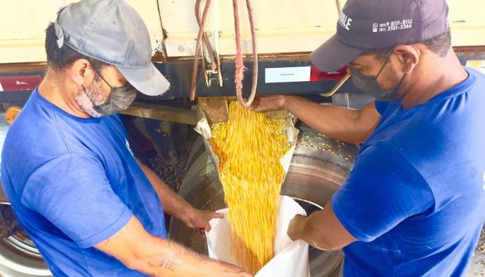 WhatsApp Image 2025-10-09 at 17.29.03 (1)