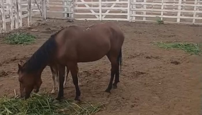 WhatsApp Image 2026-01-06 at 18.09.10