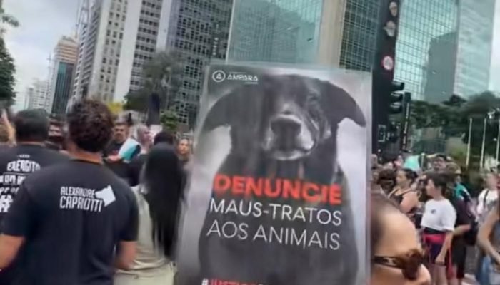 Reprodução Instagram via @porvcorelha