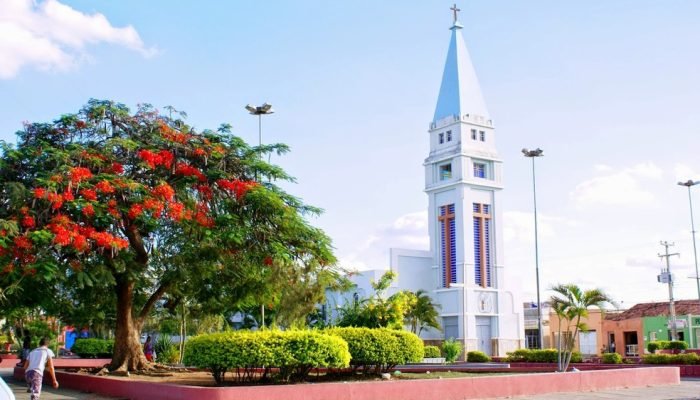 WhatsApp Image 2026-02-04 at 22.46.04