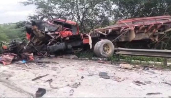 Roberto GonÃ§alves