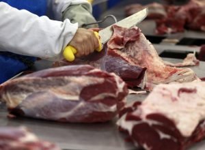 Agroindústria brasileira enfrenta queda no primeiro semestre de 2026