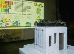 Cajueiro inaugura jardim de chuva para mitigar alagamentos